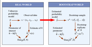 Translation from the real world to the bootstrap world.