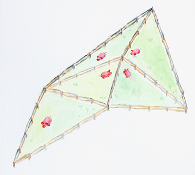 Five pigs in five triangular pastures.