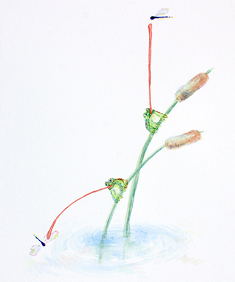 Two frogs on two plants.
